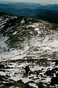 07_above_lion_head